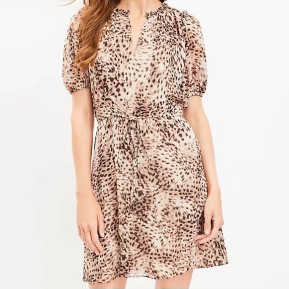 LOFT WOMENS ANIMAL PRINT MINI DRESS LARGE PETITE NEW WITH TAGS